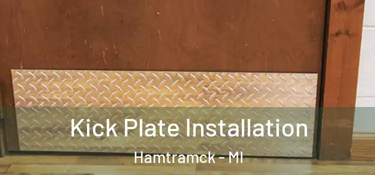 Kick Plate Installation Hamtramck - MI