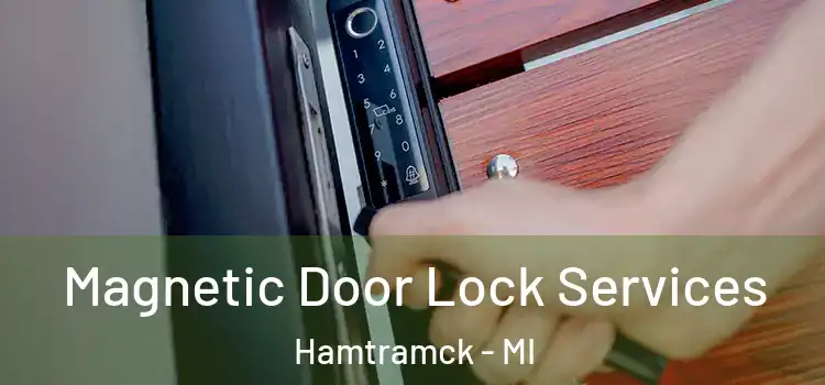 Magnetic Door Lock Services Hamtramck - MI