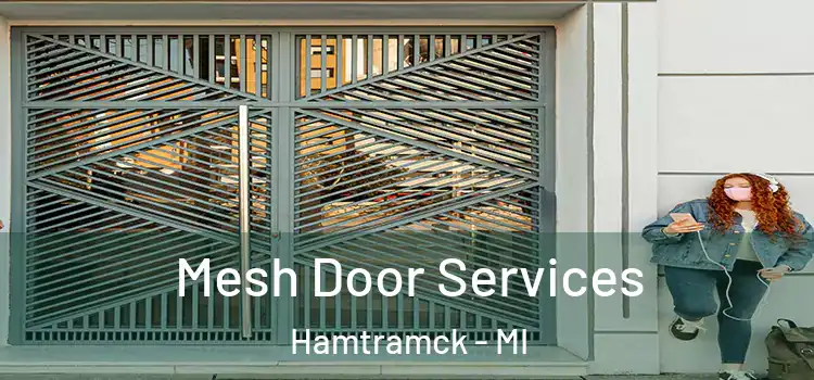 Mesh Door Services Hamtramck - MI